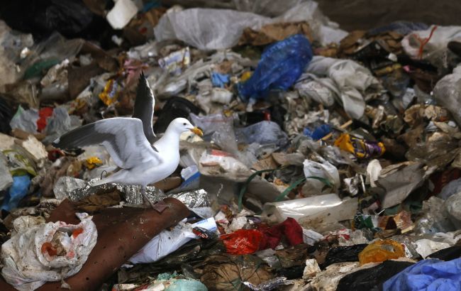 В Україні організують місця тимчасового зберігання сміття у прифронтових районах