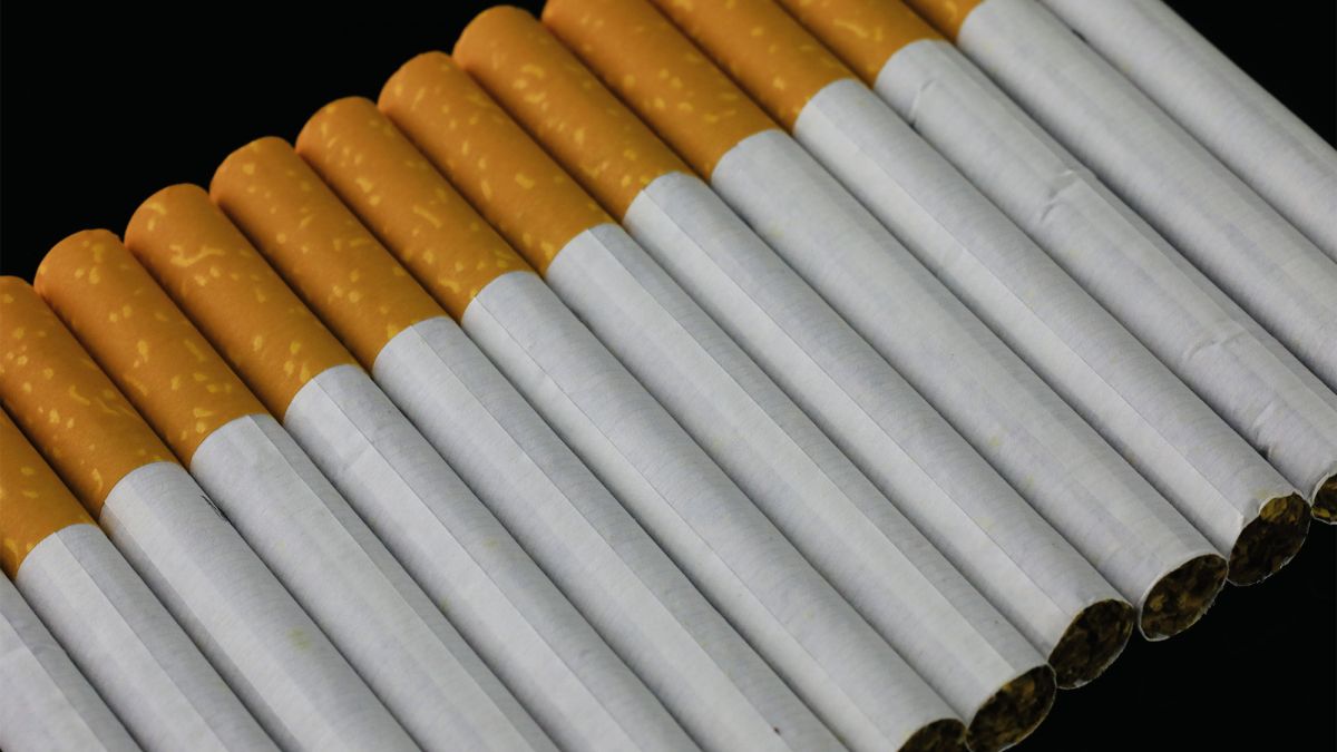 Понад 2 млн пачок: БЕБ затримало партію контрабандних сигарет у морських контейнерах