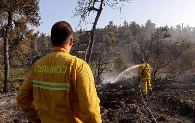 В Греции в результате лесных пожаров пострадали три человека
