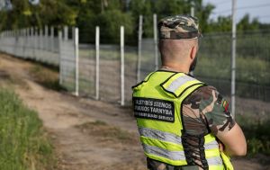 Третя спроба за останні тижні: з Білорусі знову прокопали хід до Литви