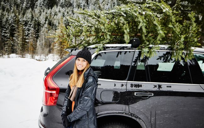 Як перевезти ялинку на автомобілі: розбираємо лайфхаки та основні помилки