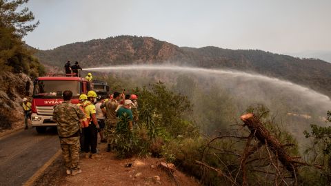 В Туреччині взяли під контроль усі лісові пожежі