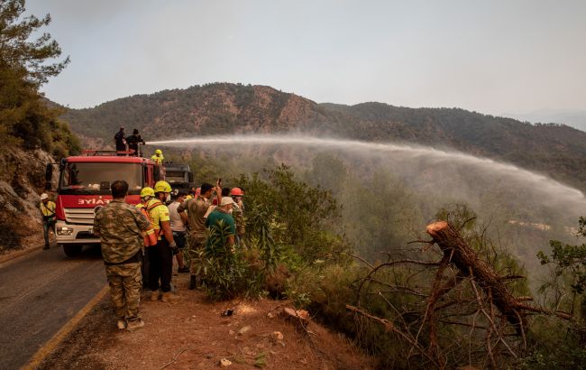 В Туреччині взяли під контроль усі лісові пожежі