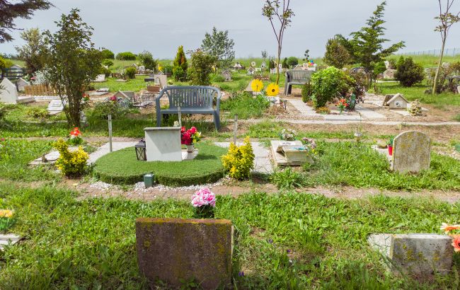 В Киеве появится кладбище для домашних животных: где его разместят