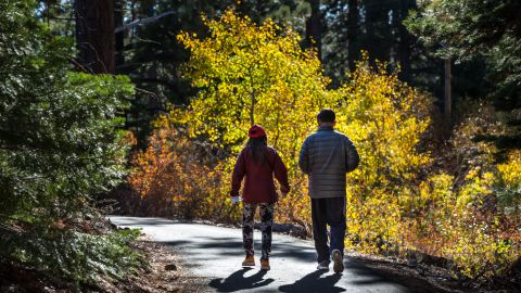 Ноябрь в Киеве стал одним из самых теплых за последние 140 лет