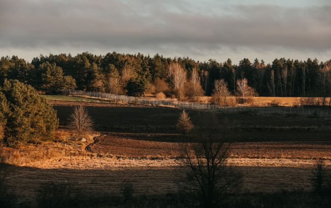 Естонія встановила дротяне загородження на кордоні з Росією