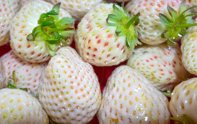 На смак, як ананас: про ці незвичайні сорти полуниці мало хто знає