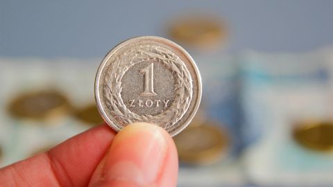 Курс польского злотого к гривне продолжает расти