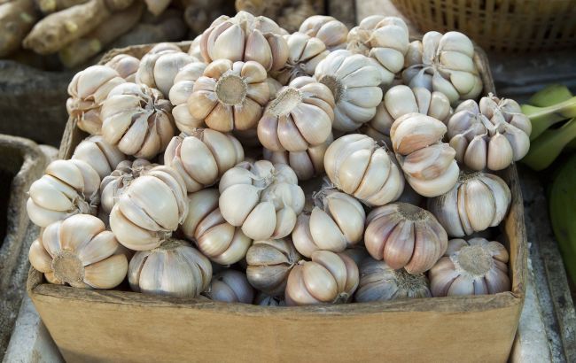 Часник не зіпсується до наступного літа! Простий секрет зберігання від досвідчених городників