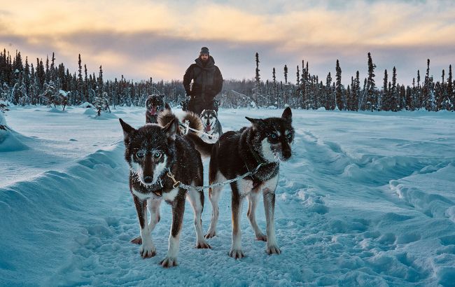 Как живут люди на Аляске при -30: факты о быте, здоровье и выплатах от штата
