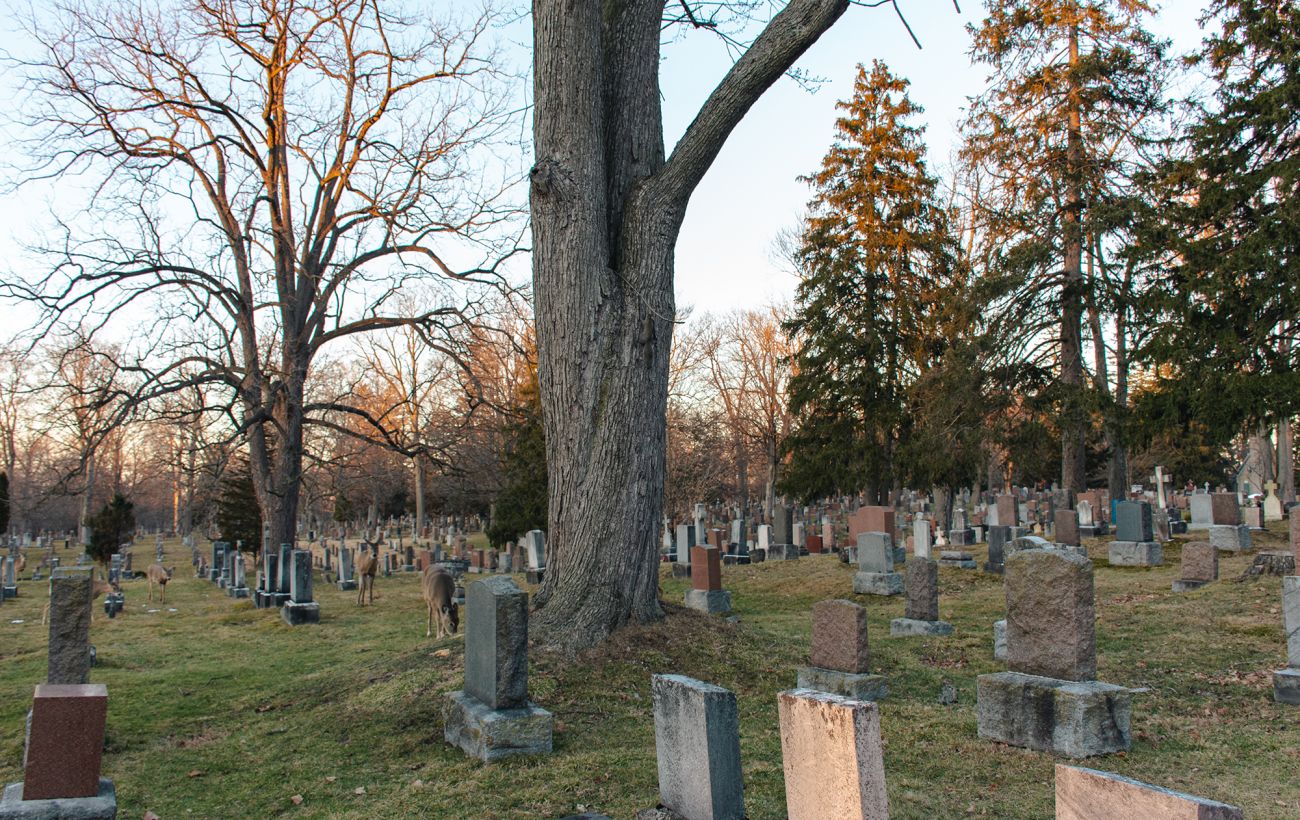 Кремація, аквамація, труна, компост: вчені назвали найбільш екологічний спосіб поховання