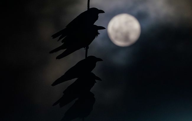 Полнолуние в марте 2024: когда придет и что нам принесет