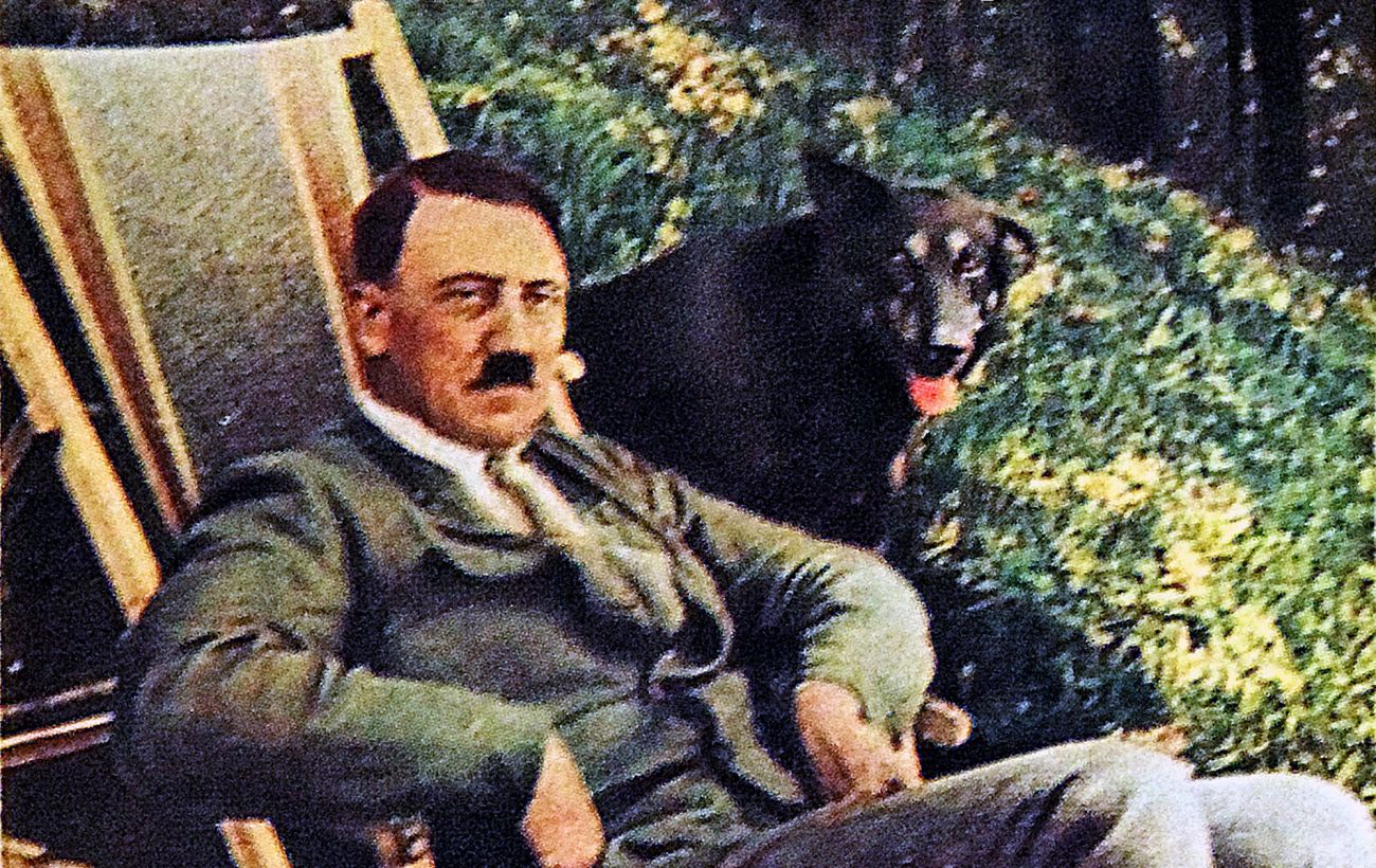 ДНК Гітлера розкрила медичну таємницю і шокувала вчених: що приховував диктатор