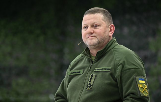 Смена подхода и ставка на беспилотники: главное из статьи Залужного для CNN