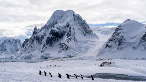 Вчені розкрили багаторічний секрет загадкового озера Енігма в Антарктиді