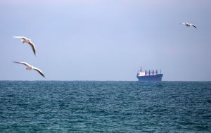 РФ атаковала гражданское судно в Черном море, погиб капитан