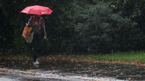 Завтра в Украине существенно похолодает