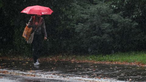 В Украине завтра ожидаются дожди