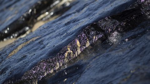 У США розірвався трубопровід: розлив дизельного палива призвів до загибелі тварин