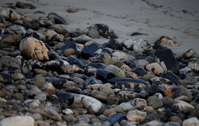 Экологическая катастрофа. У побережья Калифорнии произошел масштабный разлив нефти
