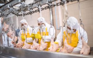 Принизливі вимоги: українські птахівники обурені новими ультиматумами Молдови