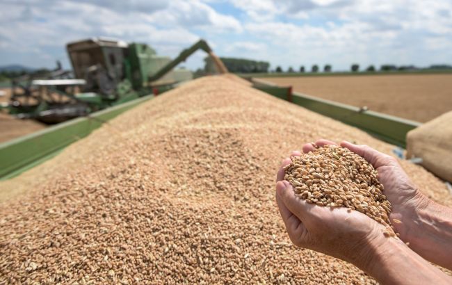 Єврокомісія заборонить основний аграрний імпорт із України з початку травня, - польські ЗМІ