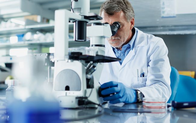 Еда будущего уже здесь. Ученым удалось вырастить мясо внутри риса: почему это важно