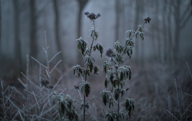 Синоптики попередили українців про нічні заморозки у низці регіонів
