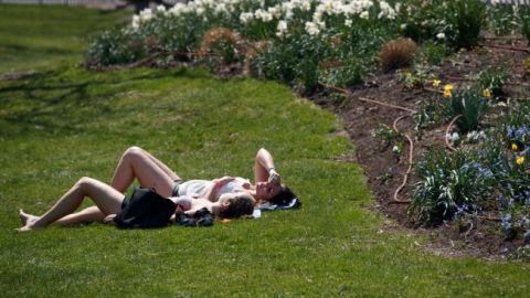 Сьогодні в деяких областях дощ, температура до +32