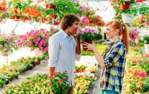 Чому не можна дарувати вазони та саджанці: народна прикмета, про яку попереджали бабусі