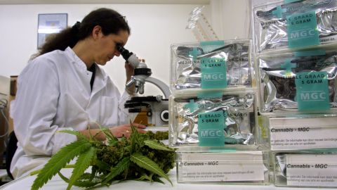 Регулювання обігу канабісу в Україні: у Раді розповіли, що пропонує закон