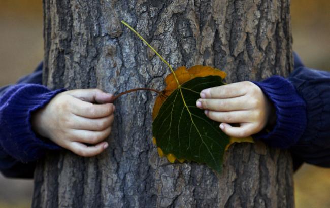Зима с осенью борется: какой погоды ждать украинцам 7 ноября
