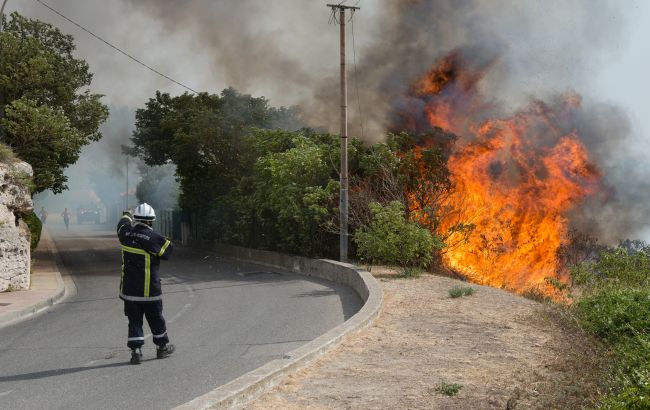 Пожары во Франции: огонь уничтожил уже более восьми тысяч гектаров леса