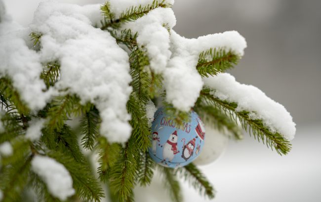 В Карпатах возможны лавины: спасатели предупредили об опасности
