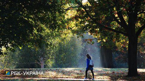 В Україну йде потепління: синоптики назвали дату