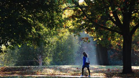 Синоптики попередили про похолодання до +2
