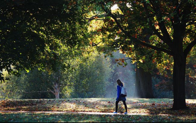 Синоптики попередили про похолодання до +2