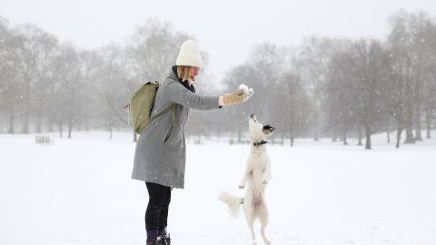 Закриті школи та кинуті авто: Велику Британію накрив сильний снігопад