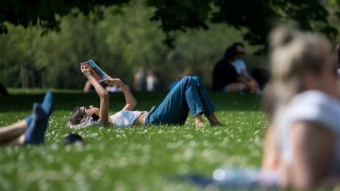 Прекрасна сонячна погода: синоптики дали прогноз погоди на вихідні