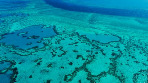 Великому Бар'єрному рифу загрожує небезпека через зміни клімату