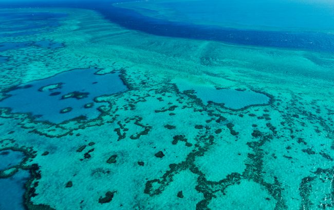 Великому Бар'єрному рифу загрожує небезпека через зміни клімату