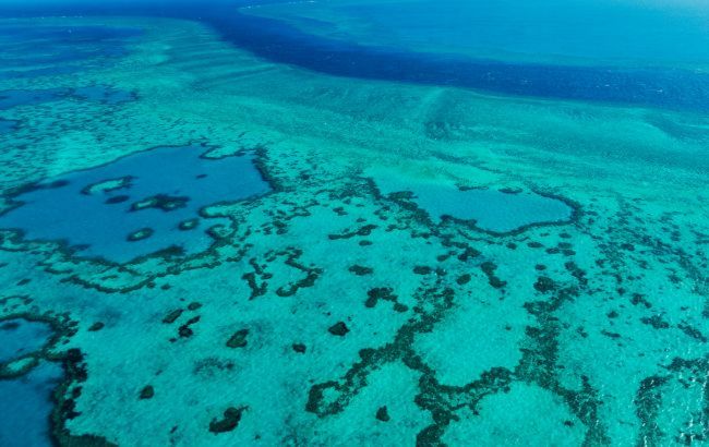 ЮНЕСКО не включив Великий Бар'єрний риф в список Всесвітньої спадщини, що знаходяться під загрозою