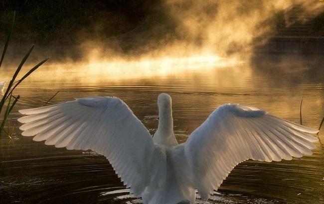 Гороскоп на сегодня, 8 февраля