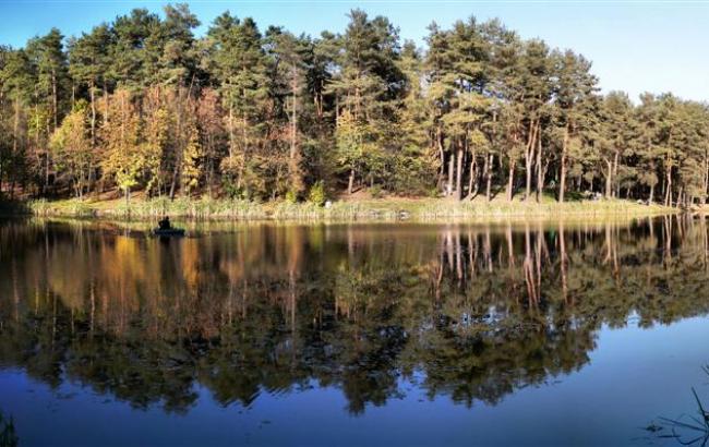 В суд направлено дело о возврате леса в национальном парке "Голосеевский"