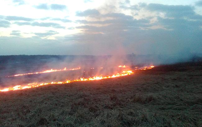 Під Києвом почастішали випадки спалювання сухої трави: рятувальники попереджають про небезпеку