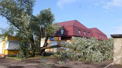У Волинській області вітер зривав дахи з будинків і валив дерева