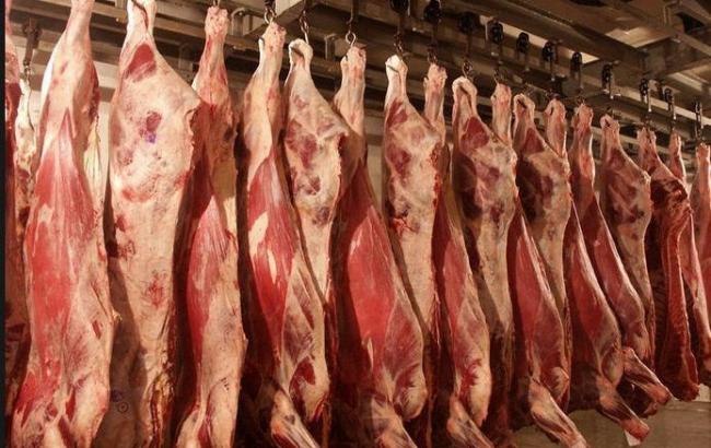 Україна отримала дозвіл на експорт яловичини в Китай