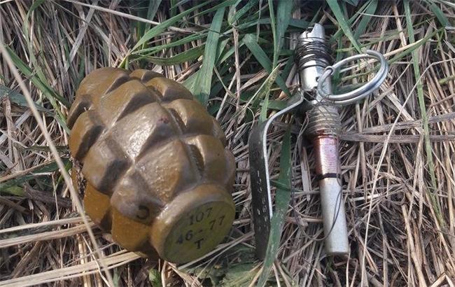 В Луганской области обнаружили гранату Ф-1 с установленной 25-метровой растяжкой