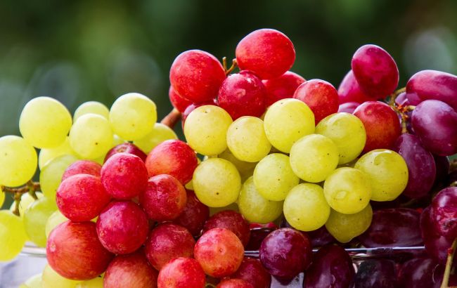 Білий чи червоний: який виноград найкорисніший і кому не можна його їсти