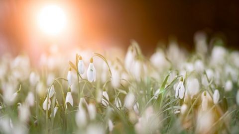 День весеннего равноденствия 2019: что категорически запрещено делать